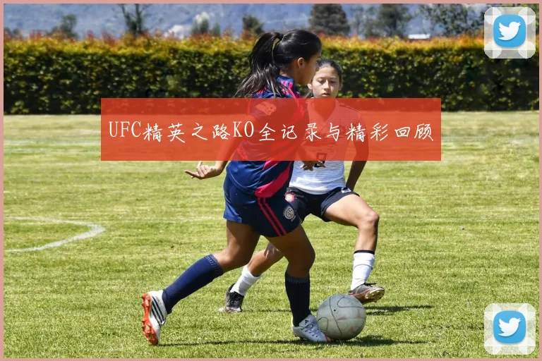 UFC精英之路KO全记录与精彩回顾