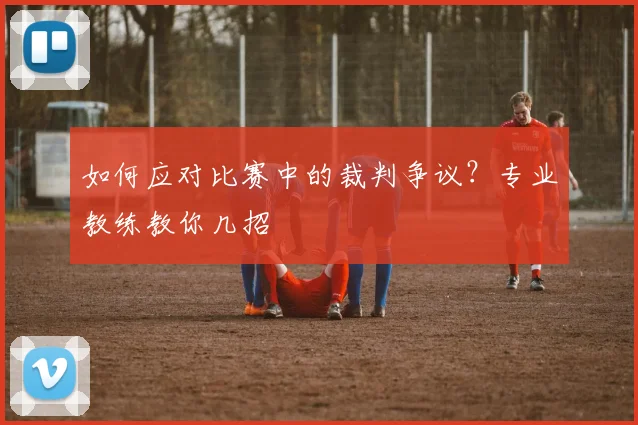 如何应对比赛中的裁判争议？专业教练教你几招